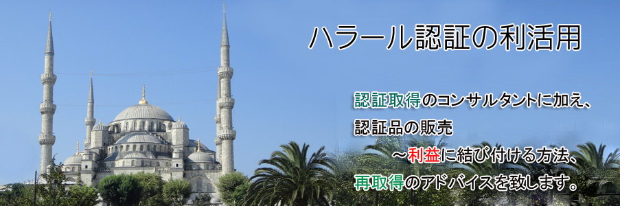 n[F؂̗p